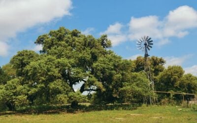 A Living Classroom