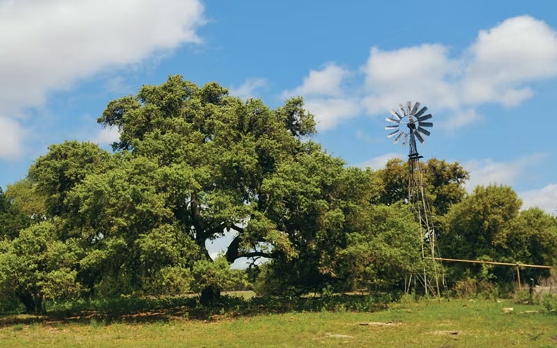 A Living Classroom