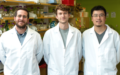 Texas’ Fight Against Coronavirus