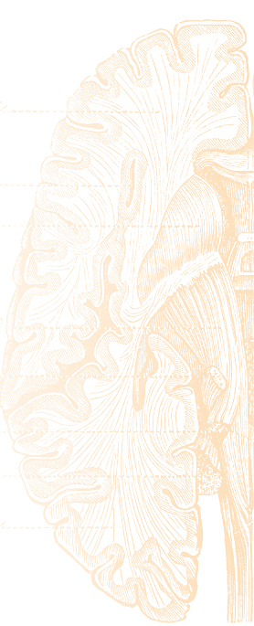decorative brain illustration for the left side of the screen