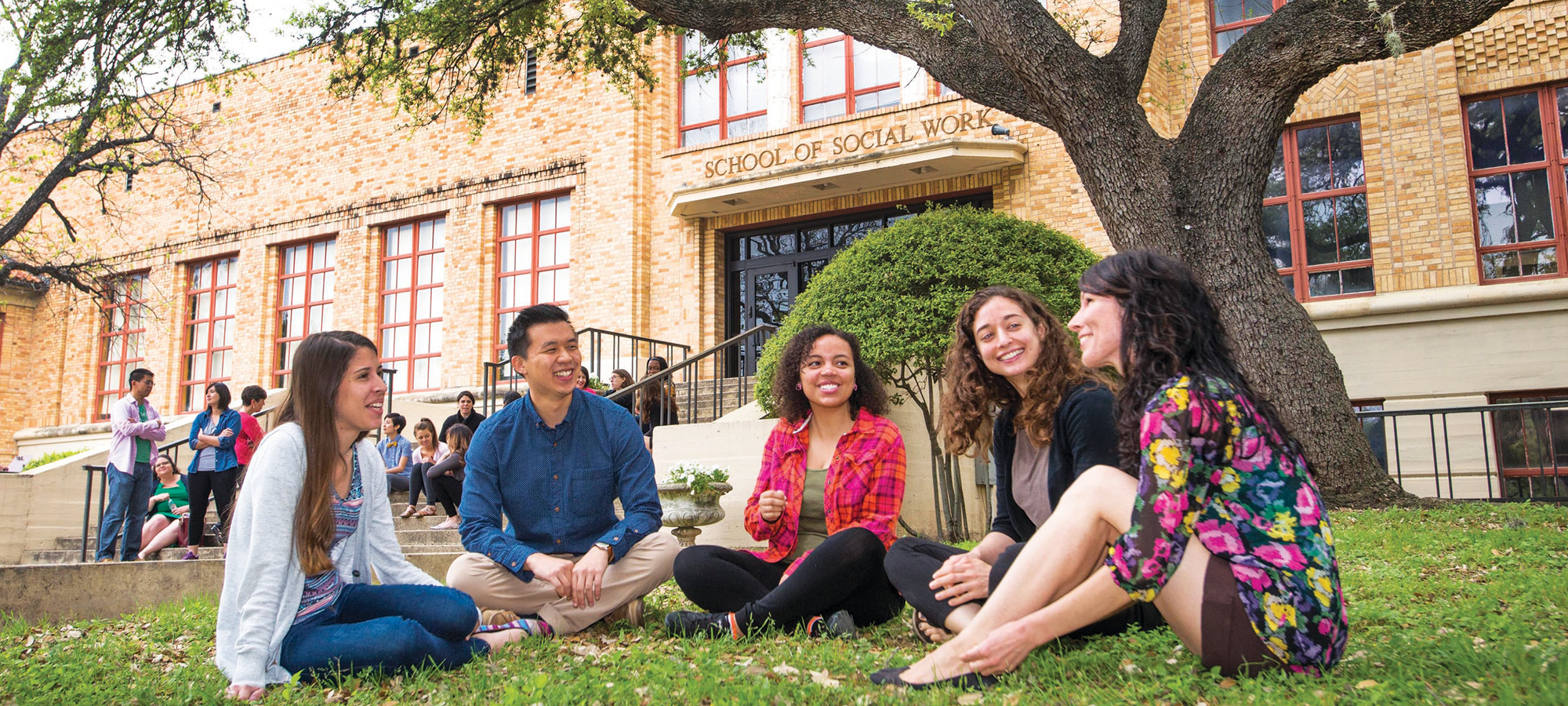 a group of UT students sitting under a tree