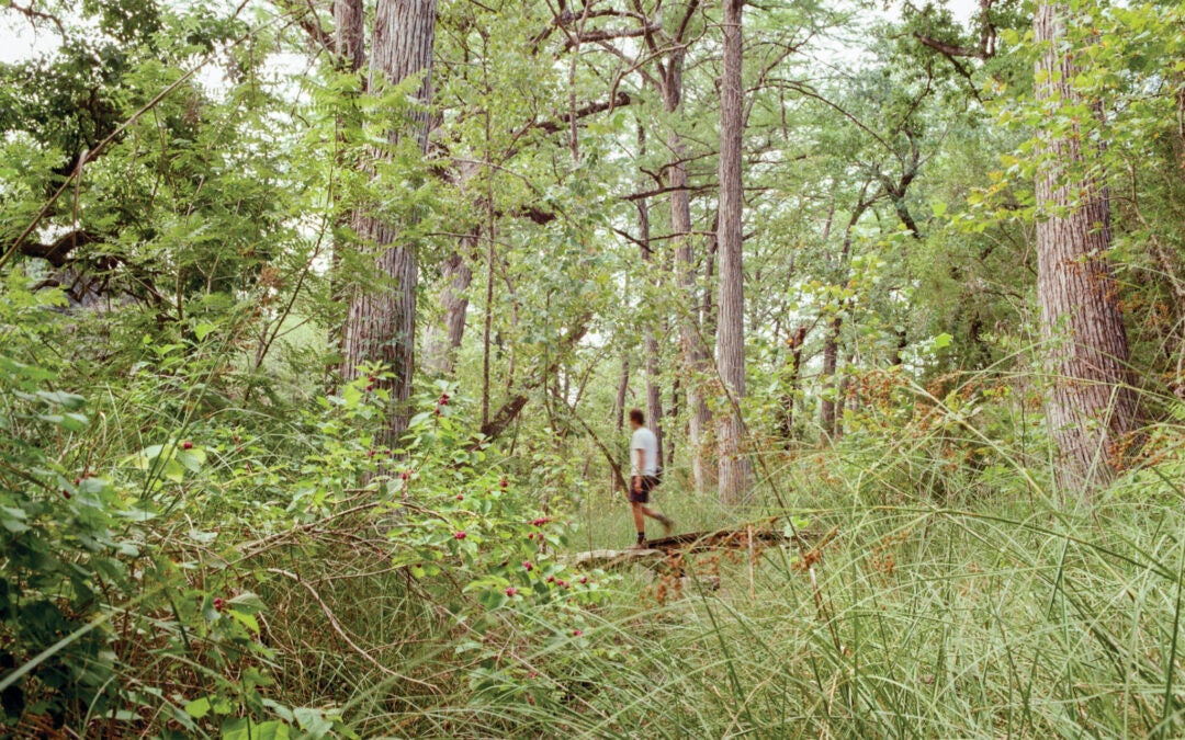 Exploring UT’s Living Learning Lab in the Heart of Hill Country
